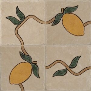 Senini Stone srl | BONSAI SICILIA 10x10