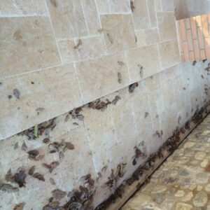 Senini Stone srl | GIALLO REALE BURATTATO OPUS ROMANUM MOD. 15 CM